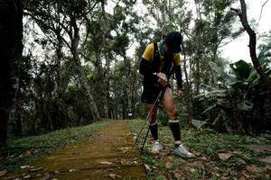 BIB: 
                            <button type="button" onclick="openModal(22790973)" class="btn btn-primary btn-sm float-right btn-popup" data-toggle="modal" data-target=".modal-high-quality">
                        <i class="fas fa-shopping-cart"></i> Add to Cart
                    </button>
                                            <button type="button" onclick="isThisMe(22790973, true)" class="btn btn-success btn-sm float-right btn-popup btn-isme hidden" data-toggle="tooltip" data-placement="bottom" title="นี่คือรูปของคุณใช่ไหม คลิกที่นี่เพื่อเอาเข้าอัลบั้ม">
                        <i class="fas fa-plus"></i> Add to album
                    </button>
                    <button type="button" onclick="isThisMe(22790973, false)" class="btn btn-warning btn-sm float-right btn-popup btn-isnotme hidden">
                        <i class="fas fa-ban"></i> Remove from album
                    </button>